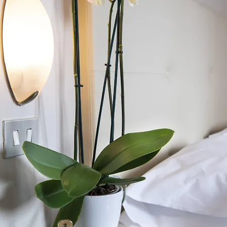 Hotel Ariston Montecatini-Terme